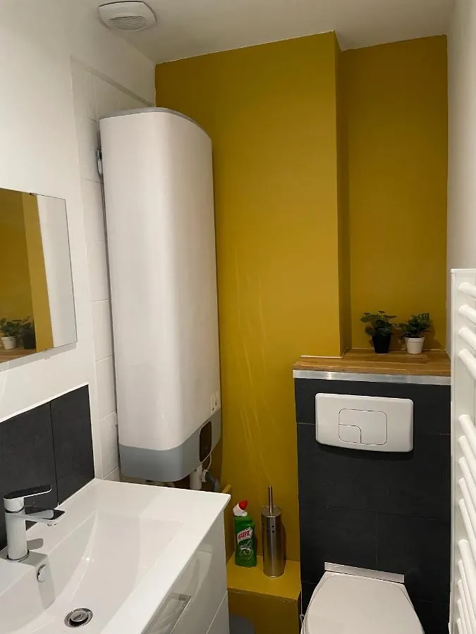 T1 Bis Cosy Proche Gare Appartement Lourdes
